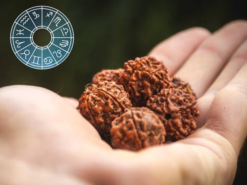 What is the benefit of Rudraksha in Vedic Astrology?