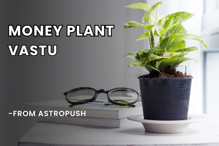Money Plant Vastu: Enhance Prosperity with Proper Placement