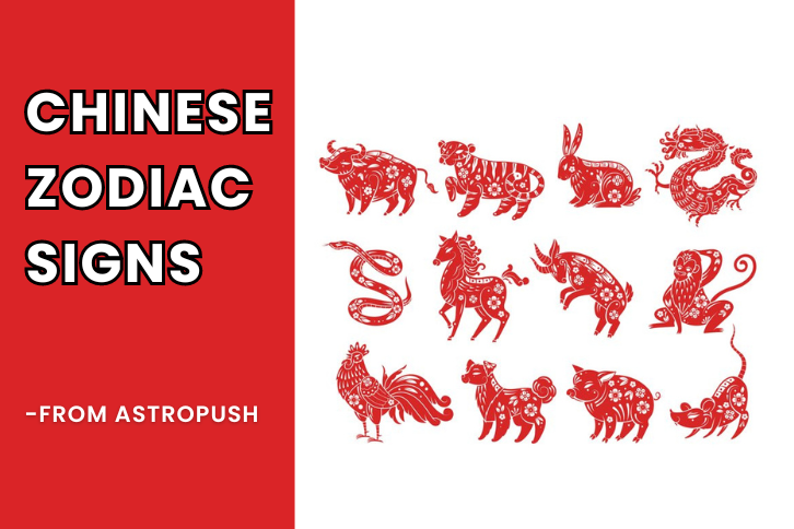 Chinese Zodiac Signs: Meaning, Compatibility, and More