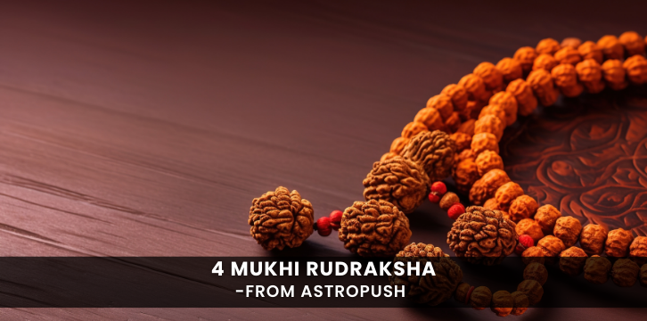 4 Mukhi Rudraksha: A sacred bead of knowledge and wisdom that enhances intellect, communication, and spiritual growth.