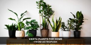 Vastu Plants For Home: Bring Harmony and Prosperity to Your Living Space