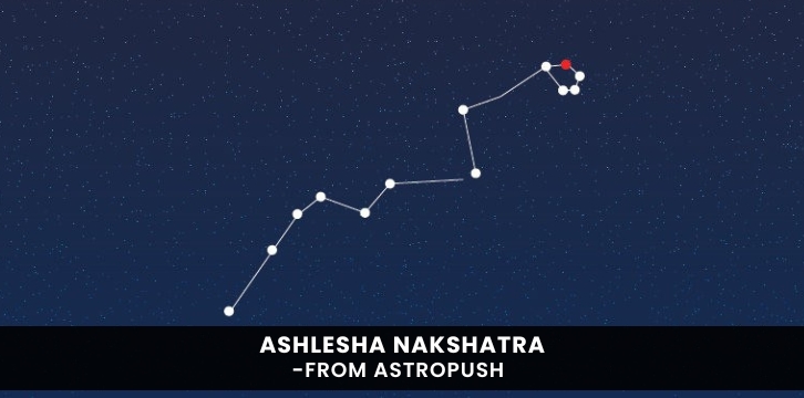 Ashlesha Nakshatra: Secrets, Impact & Much More