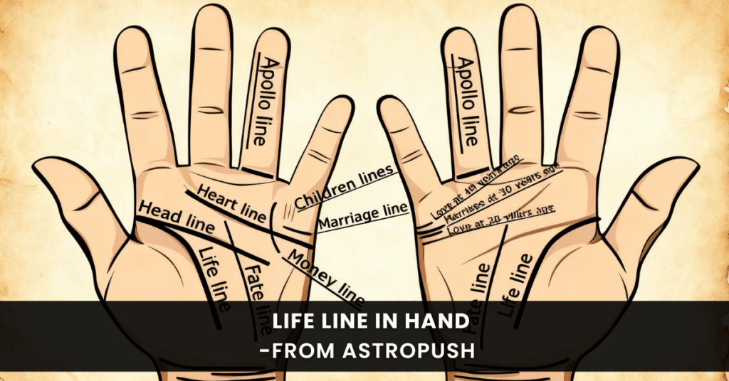 The Life Line in Hand: What Your Palm Reveals About You